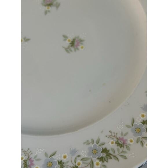 4 Johann Haviland “Forever Spring” 10” Dinner Plates Porcelain Germany EUC - Picture 10 of 16